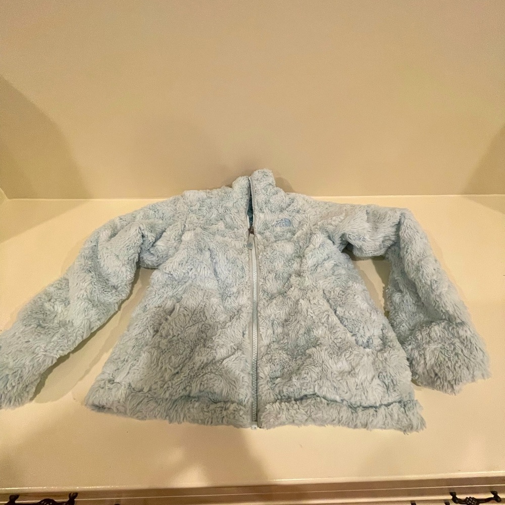Reversible North Face puffer jacket